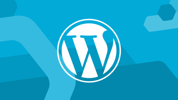 WordPress: breve vademecum delle funzionalità per lavorare subito con questo CMS guide