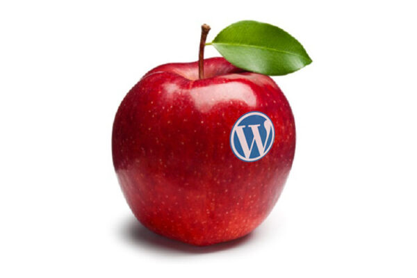 Come installare un template WordPress