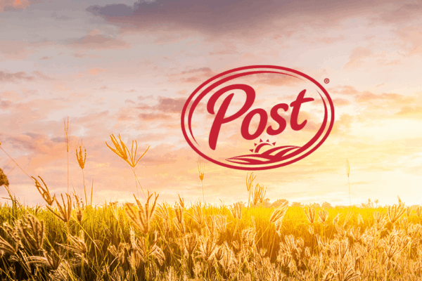 Inserire post wordpress tramite stringhe php