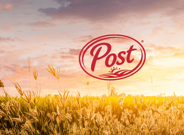 Inserire post wordpress tramite stringhe php
