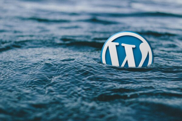 Che cos’è la funzione get_post_meta di WordPress e come utilizzarla per visualizzare i campi personalizzati
