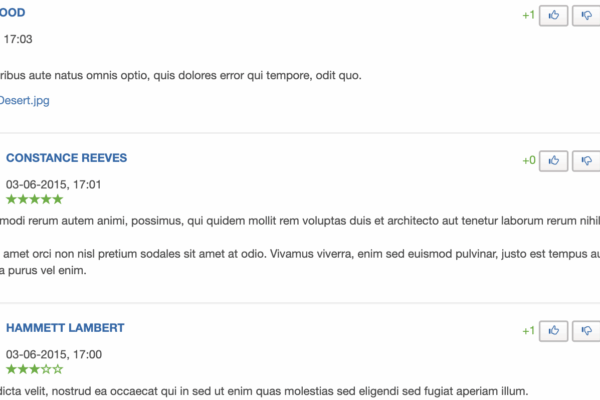 PHP Comment Script