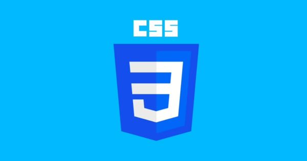 I Selettori CSS: Guida Completa per Principianti