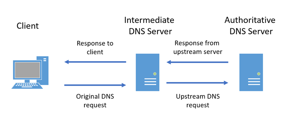 Schema che mostra i passaggi da dominio a IP